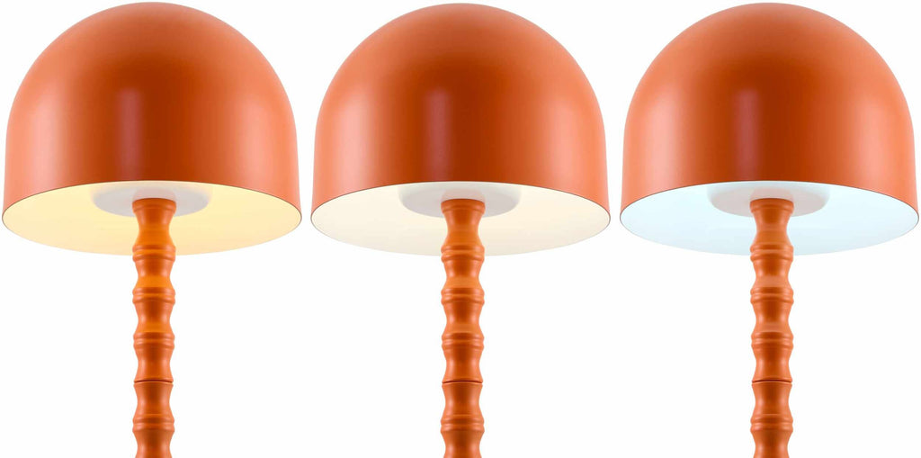 Magdagachi Orange Table Lamp